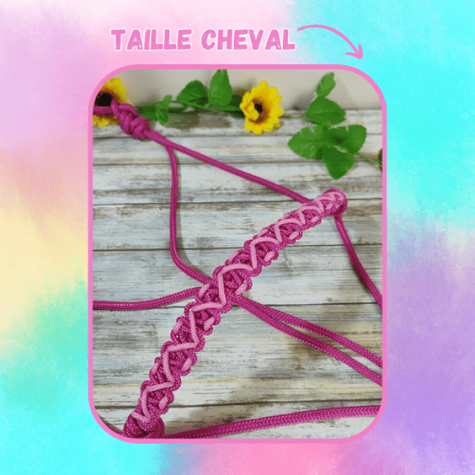 Licol "Diana" fuchsia taille cheval