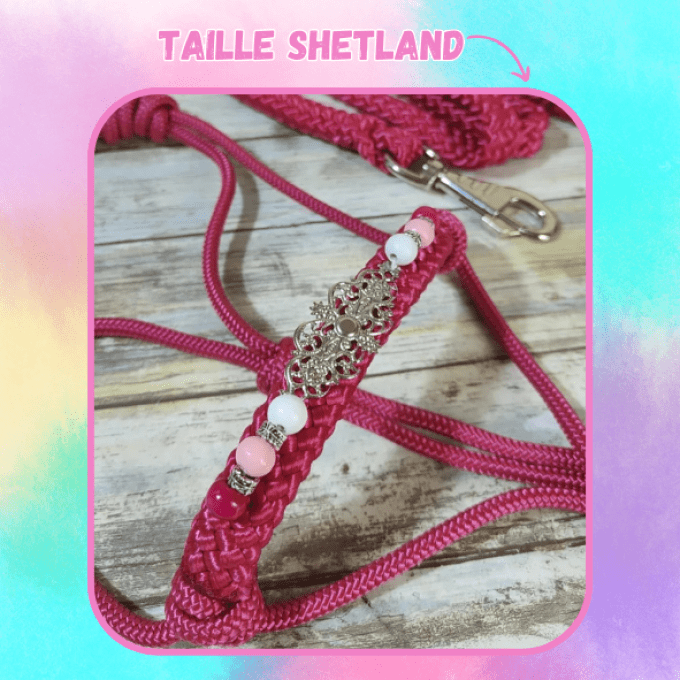 Ensemble Framboise taille shetland