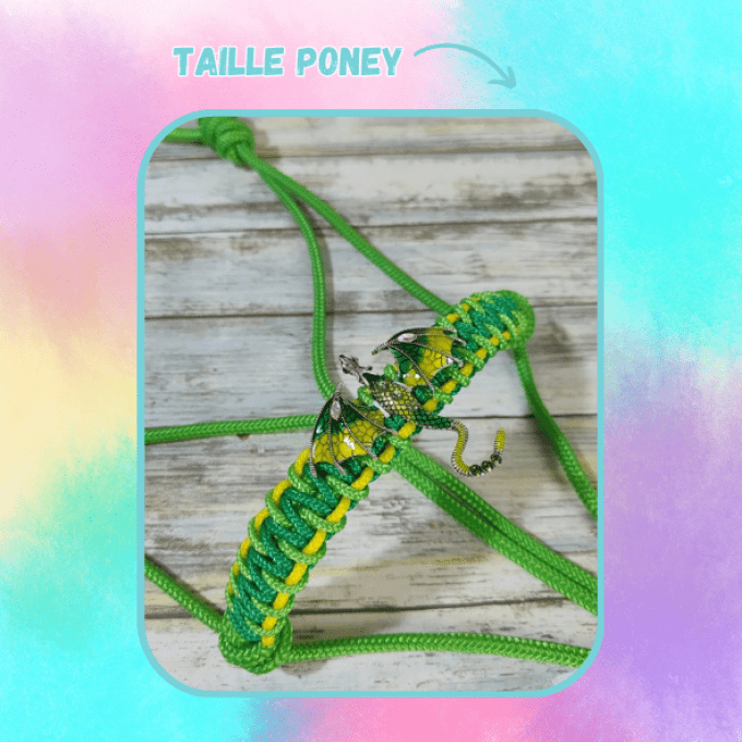 Licol "dragon" vert taille poney