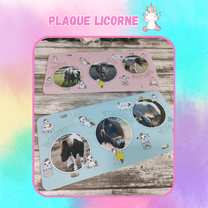 Plaque Américaine "Licorne" avec 3 photos