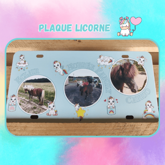 Plaque Américaine "Licorne" avec 3 photos