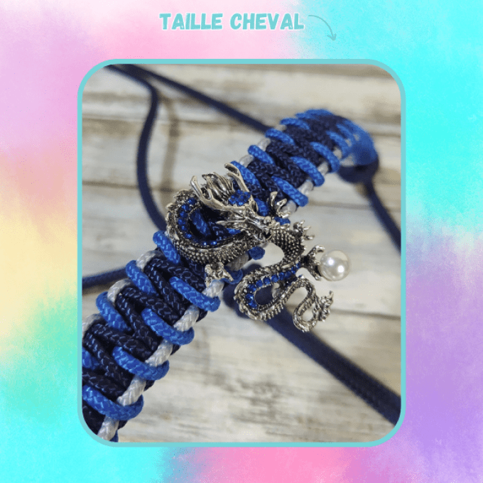 Licol "Dragon" bleu marine taille cheval